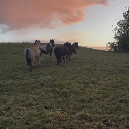 Au Domaine Du Moulin Du Pont * Aurignac (Haute-Garonne)