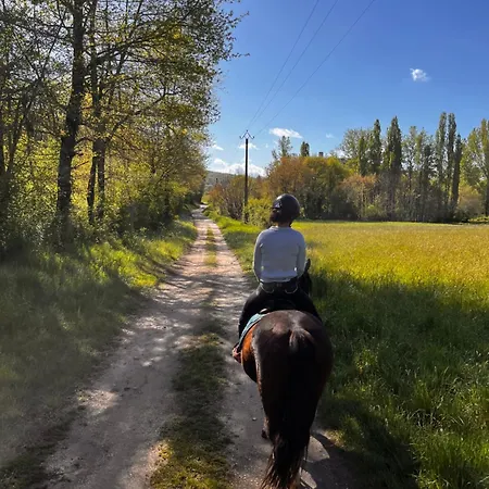 Au Domaine Du Moulin Du Pont * Aurignac (Haute-Garonne)
