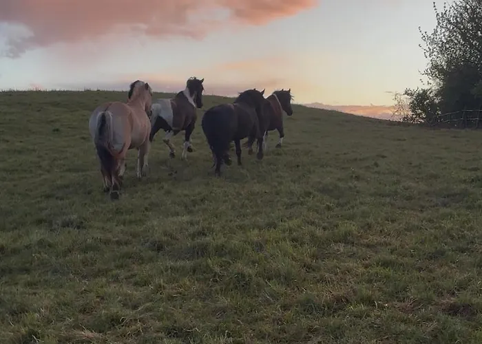 Au Domaine Du Moulin Du Pont * Aurignac (Haute-Garonne)